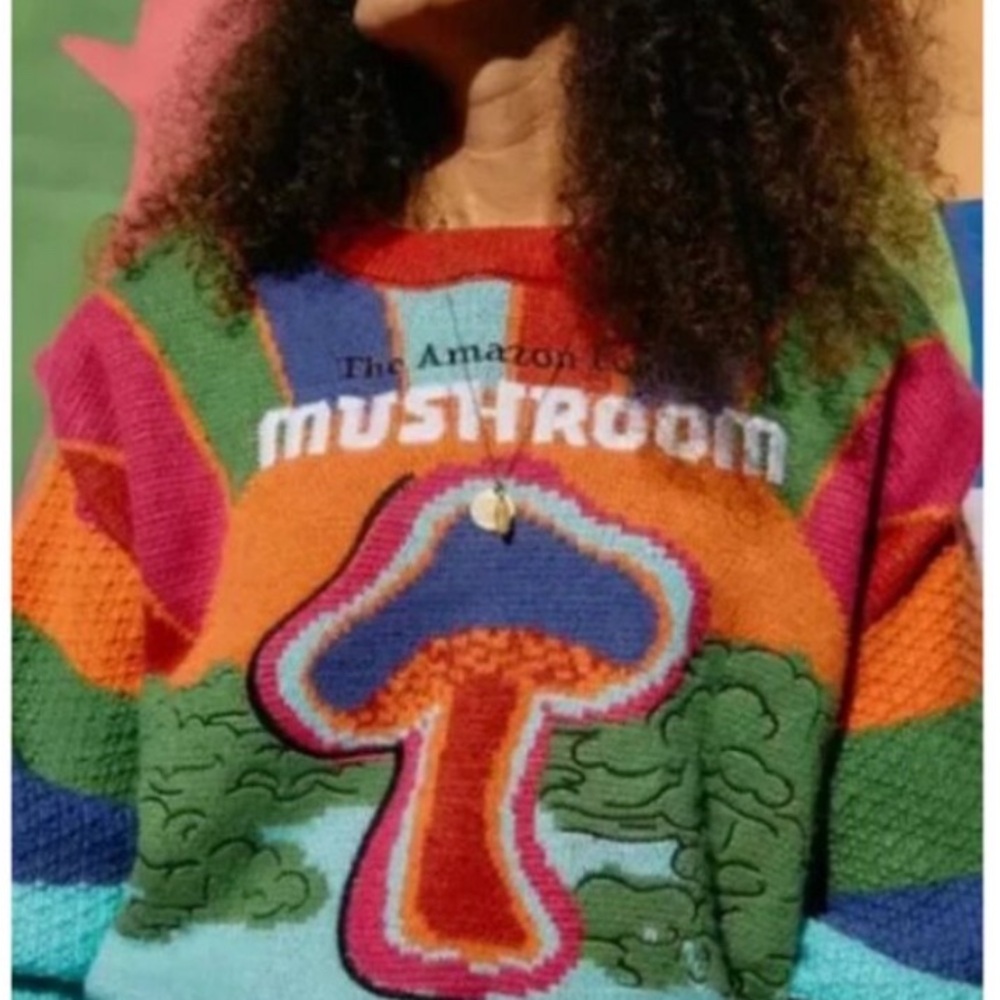 NWT FARM Rio Multicolor Mushroom Sweater - Picture 4 of 4